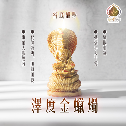 澤度金法燭▲反底王(天天代燒)